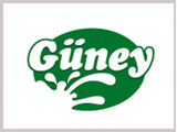 Güney