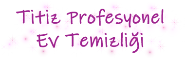Titiz Profesyonel Ev Temizliği