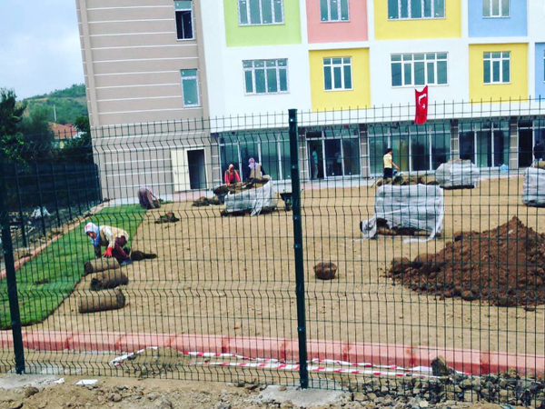 Rulo Çim