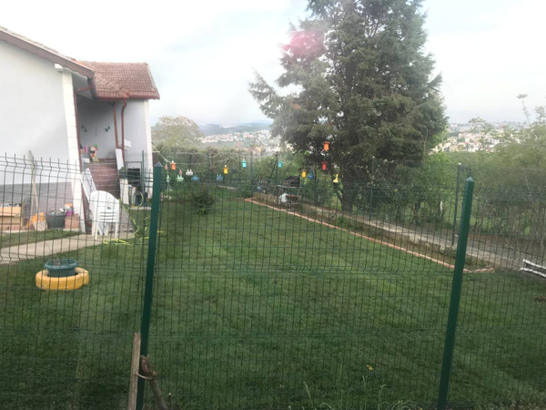 Rulo Çim