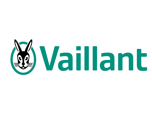 Vaillant Kombi Çeşitleri