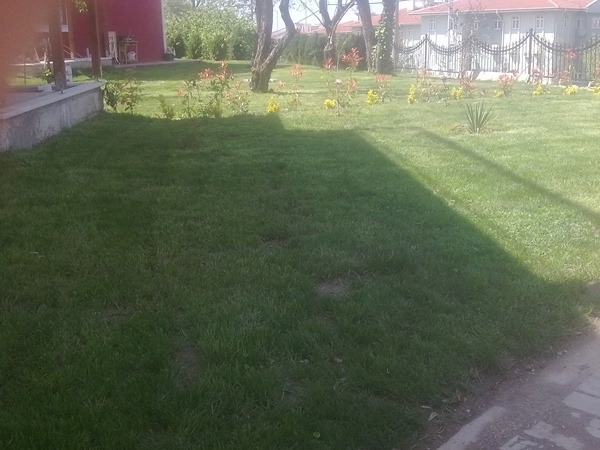 Zeytin Tepe Villaları Gölcük