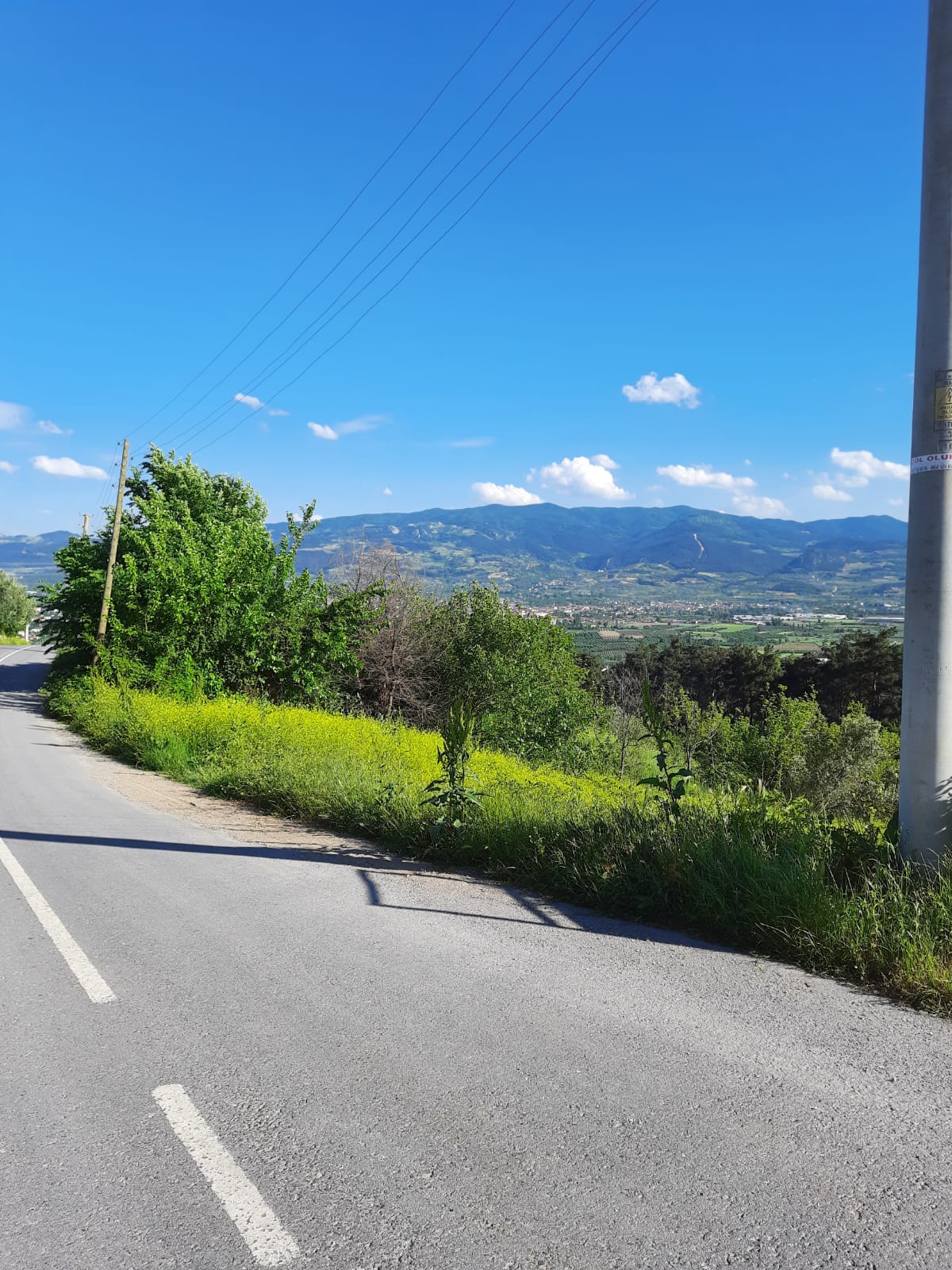 DÜZAKÇAŞEHİRDE ASFALT YOL KENARI İMARLI VİLLALIK ARSA
