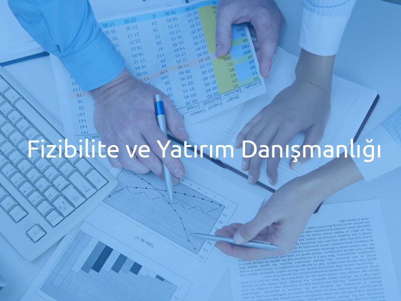 Fizibilite ve Yatırım Danışmanlığı