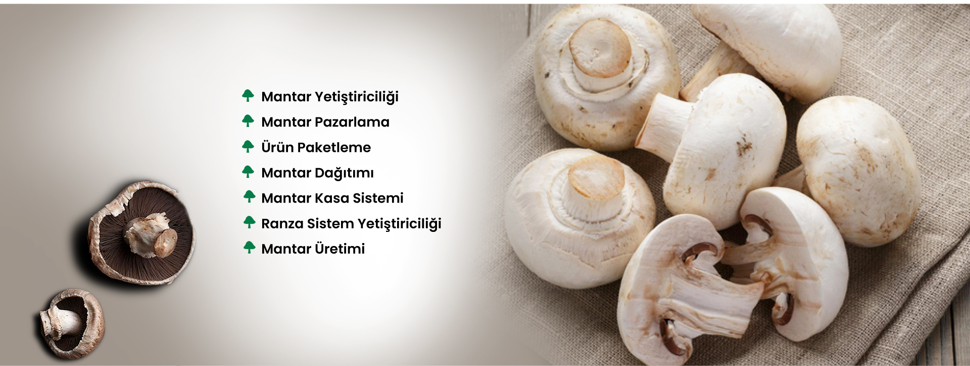 May Mantar Manşet 2
