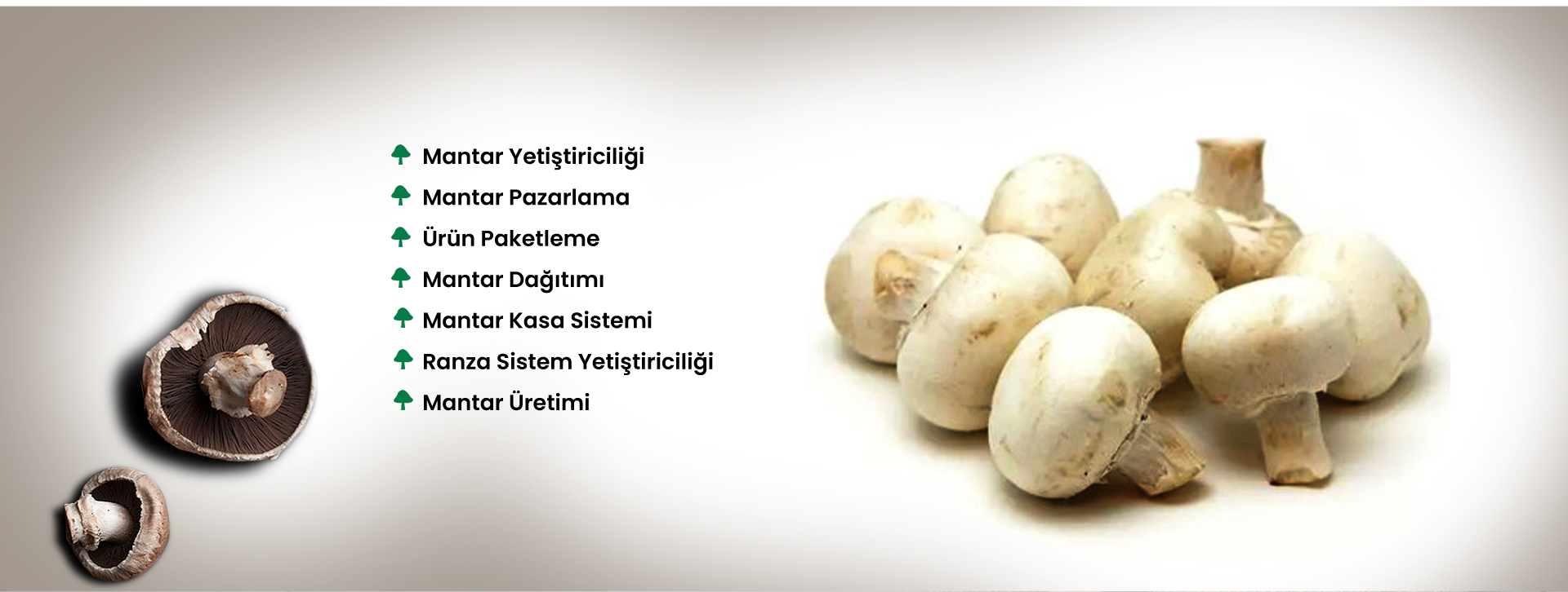 May Mantar Manşet 3 