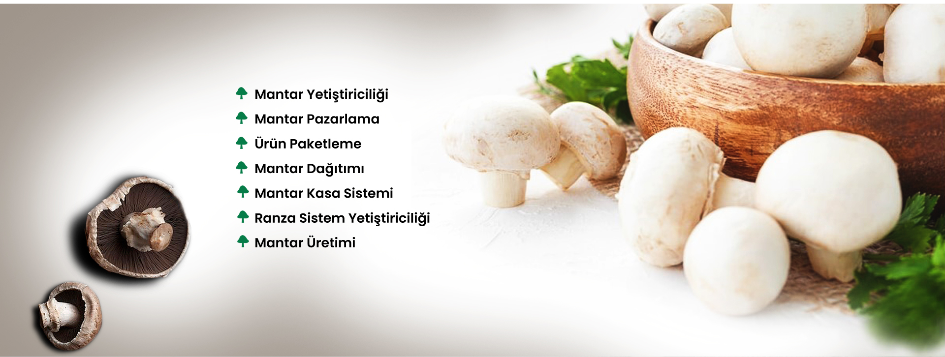 May Mantar Manşet 4