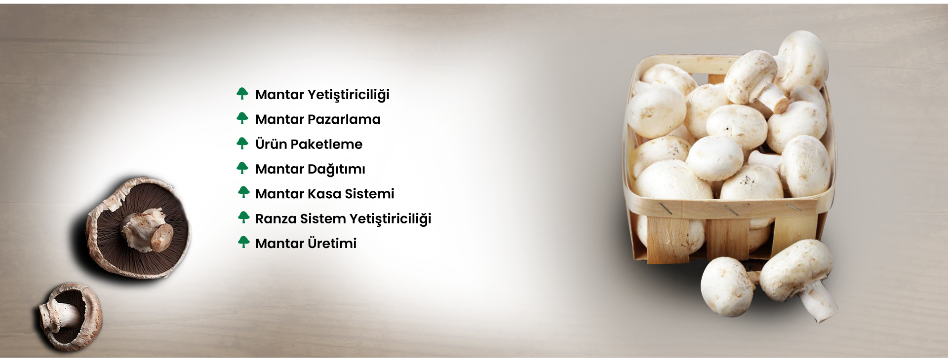 May Mantar Manşet 5