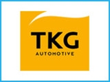 TKG Otomotiv